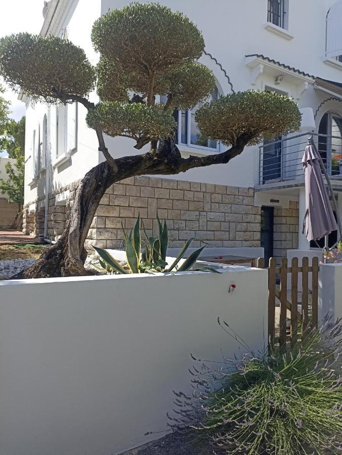 Chambres D'Hotes La Pastourelle Royan Centre Eksteriør bilde